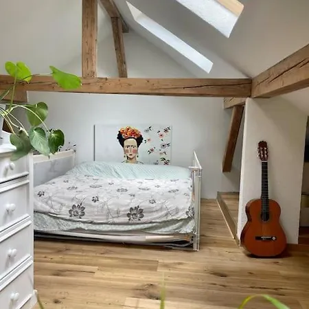 Scheunenwohnung Flora Naehe Vaduz Apartment Sevelen