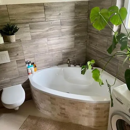 Scheunenwohnung Flora Naehe Vaduz